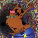 �������